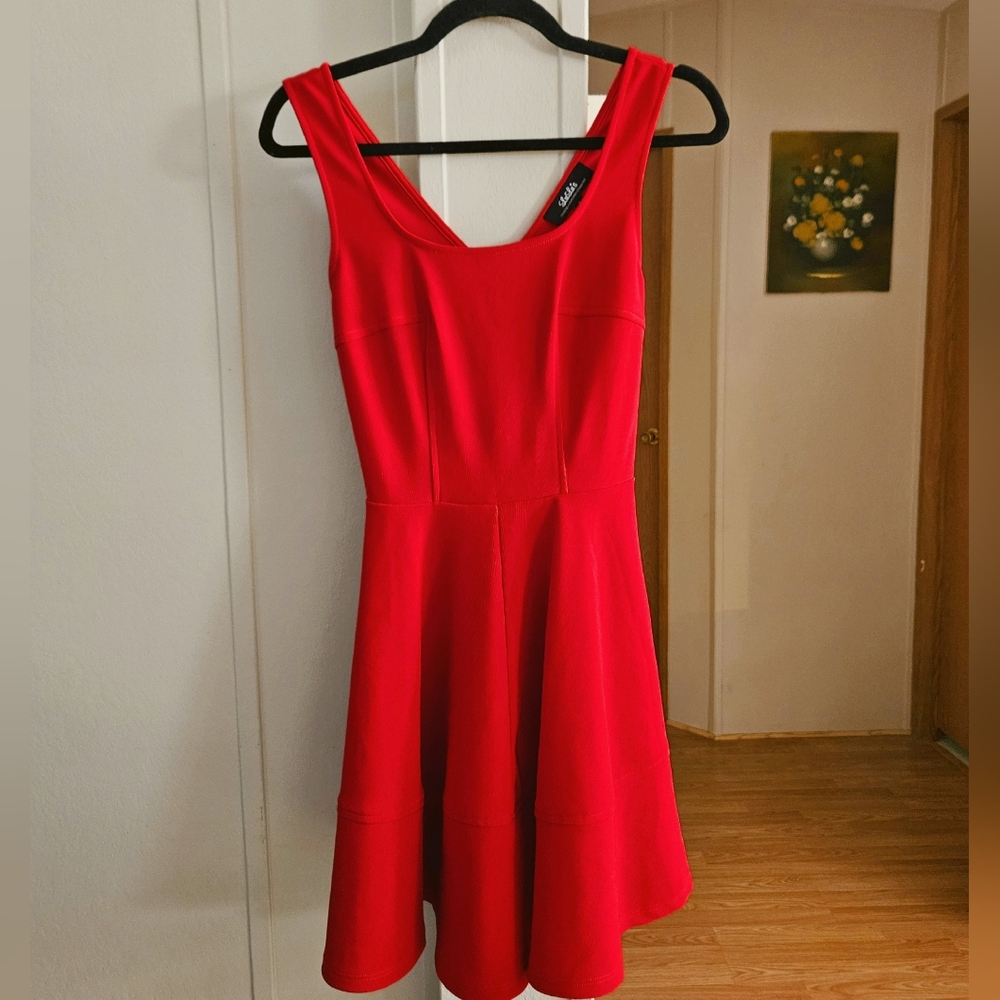 Lulu's Skater Dress
